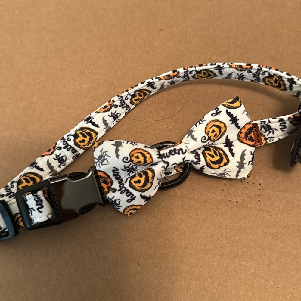 Halloween dog collars- BRAND NEW - size Medium